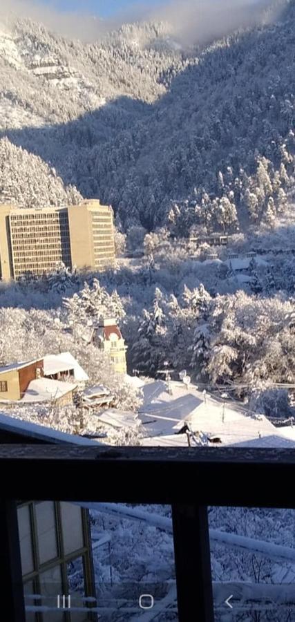 Apartmán Tamara Bordžomi Exteriér fotografie